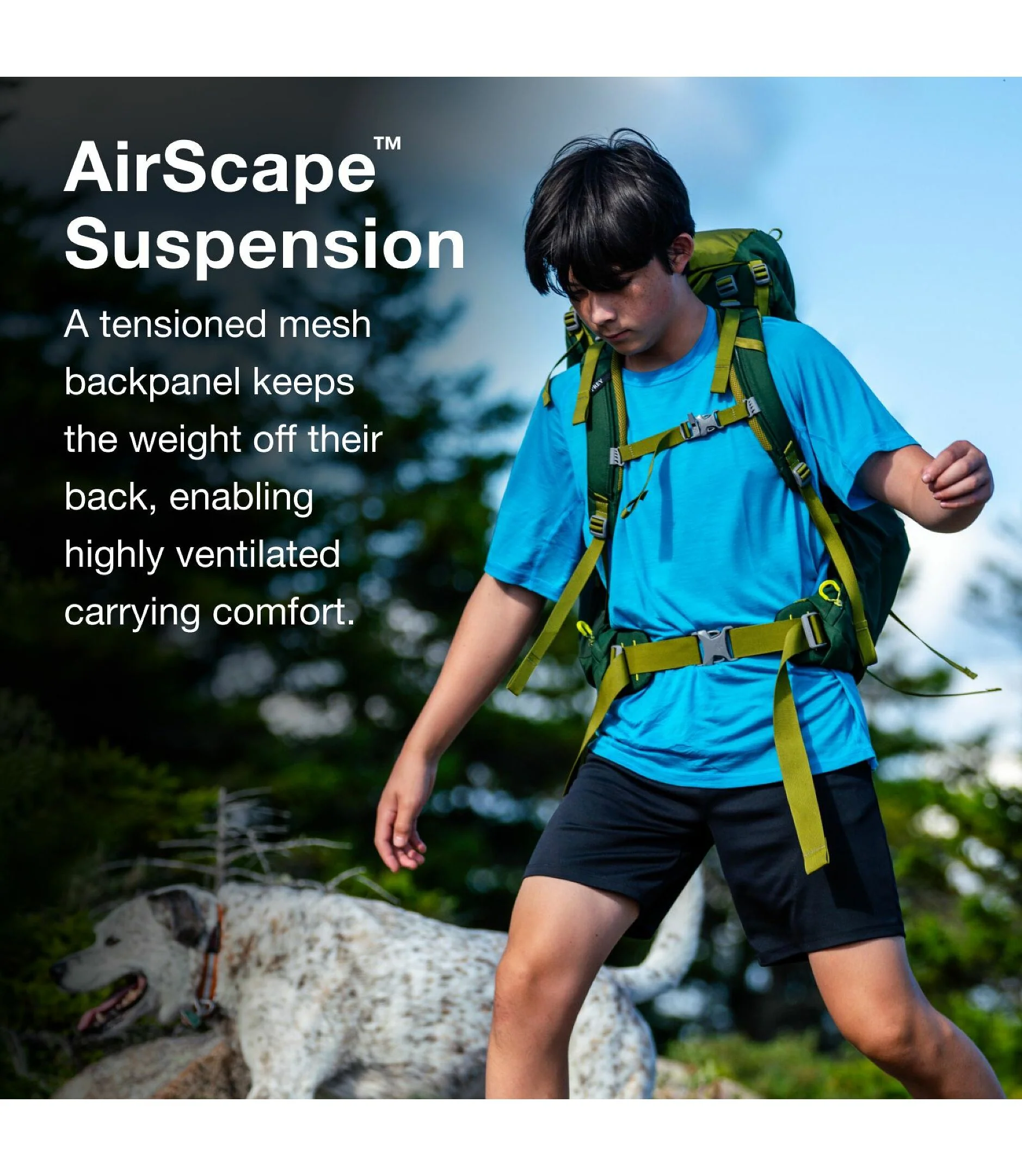 Ace 38 Youth Backpack | Green Canopy/Matcha Green - Image 4
