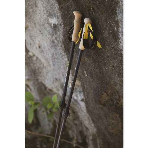 Alliance Trekking Poles | Black - Image 5