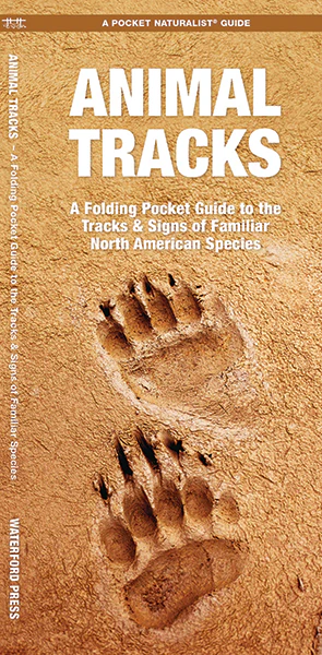 Animal Tracks Guide