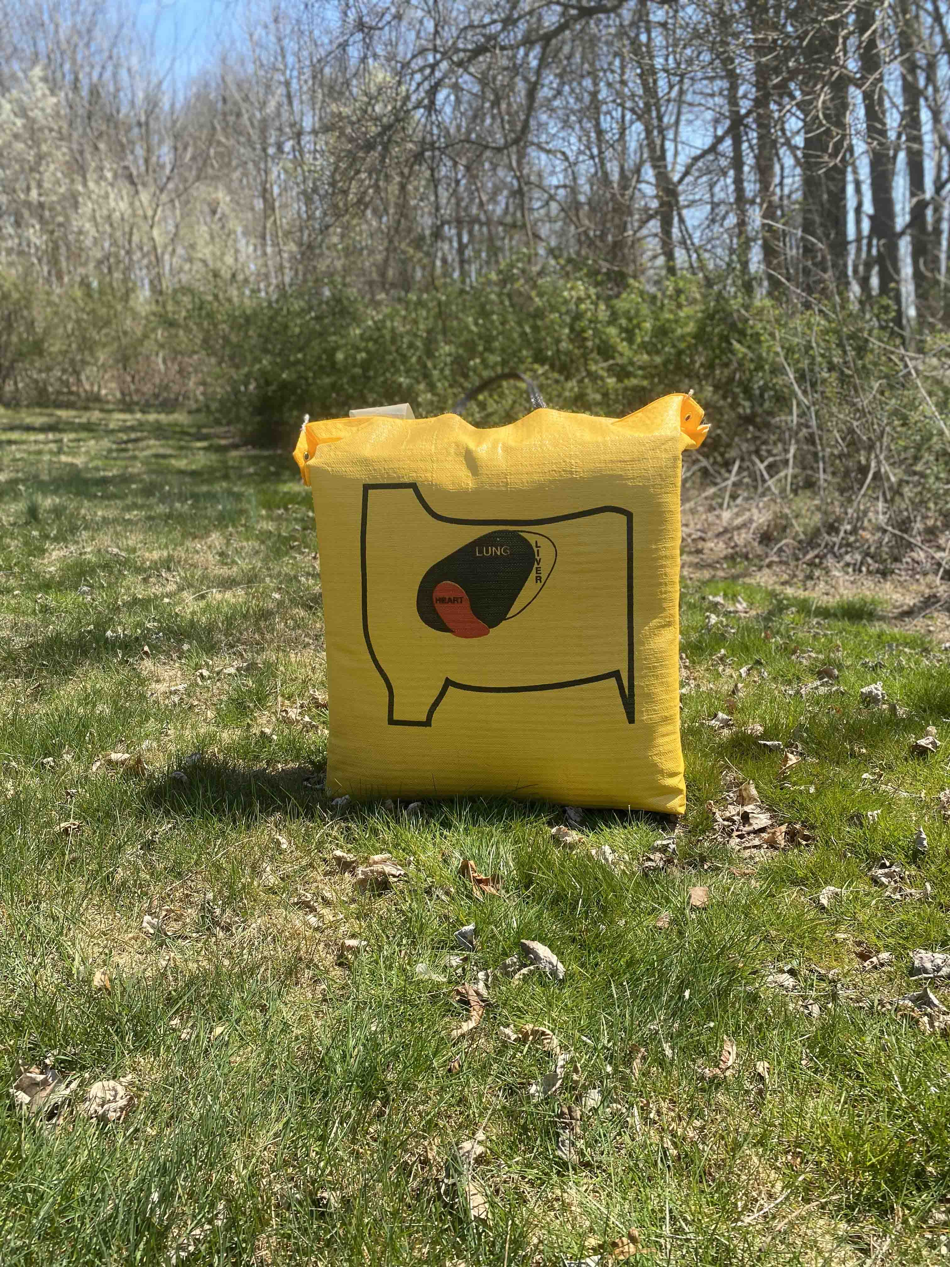 Ballistic 350 Archery Bag Target - Image 9