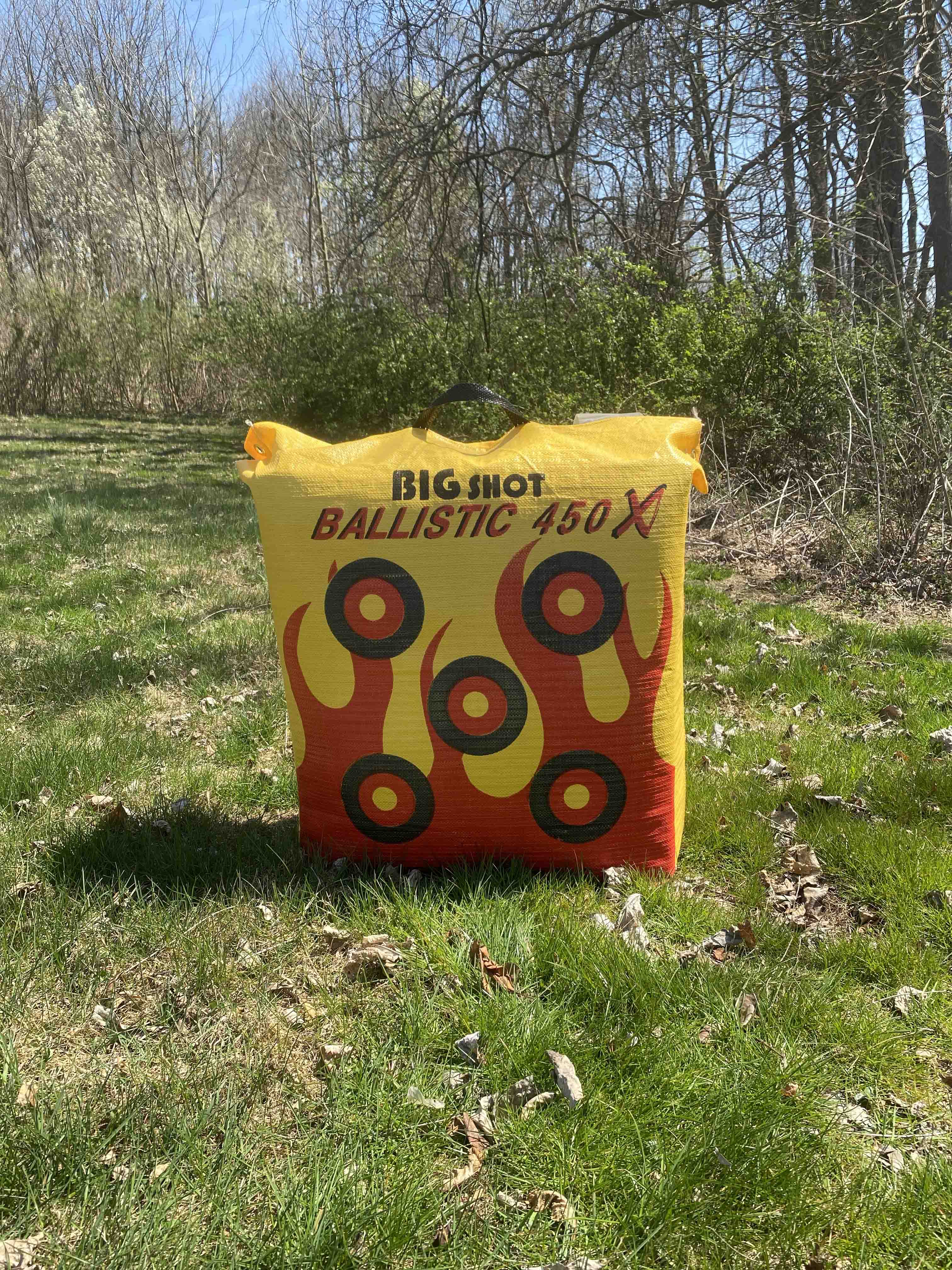 Ballistic 450X Bag Target - Image 9