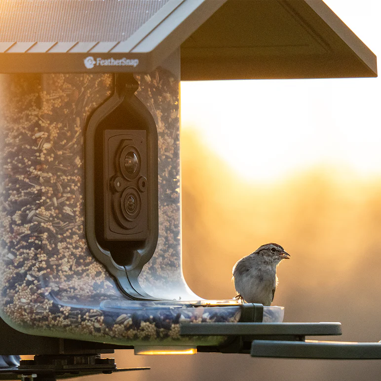 FeatherSnap Scout Bird Feeder and Camera by Tactacam - Image 4