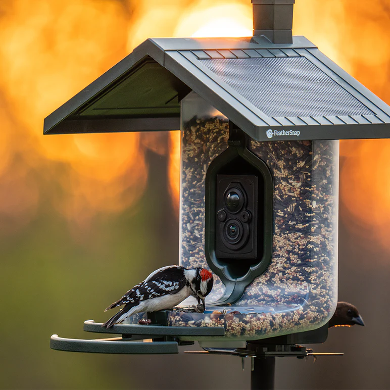 FeatherSnap Scout Bird Feeder and Camera by Tactacam - Image 5