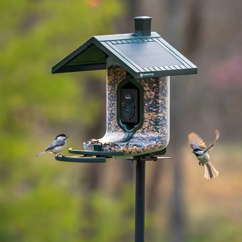 FeatherSnap Scout Bird Feeder and Camera by Tactacam - Image 6