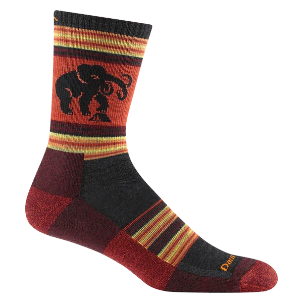 Men's Willoughby Micro Crew Lightweight Hiking Sock | Lava