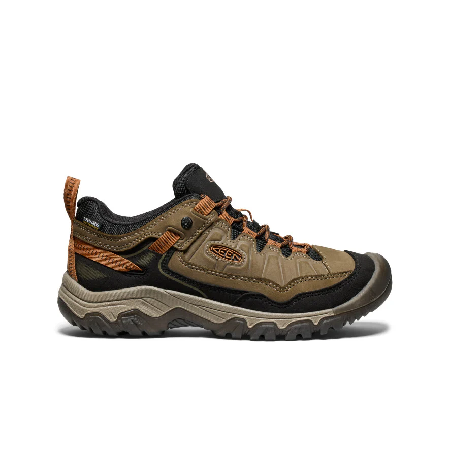 Men's Targhee IV WP Hiking Shoe | Sea Turtle - Image 2