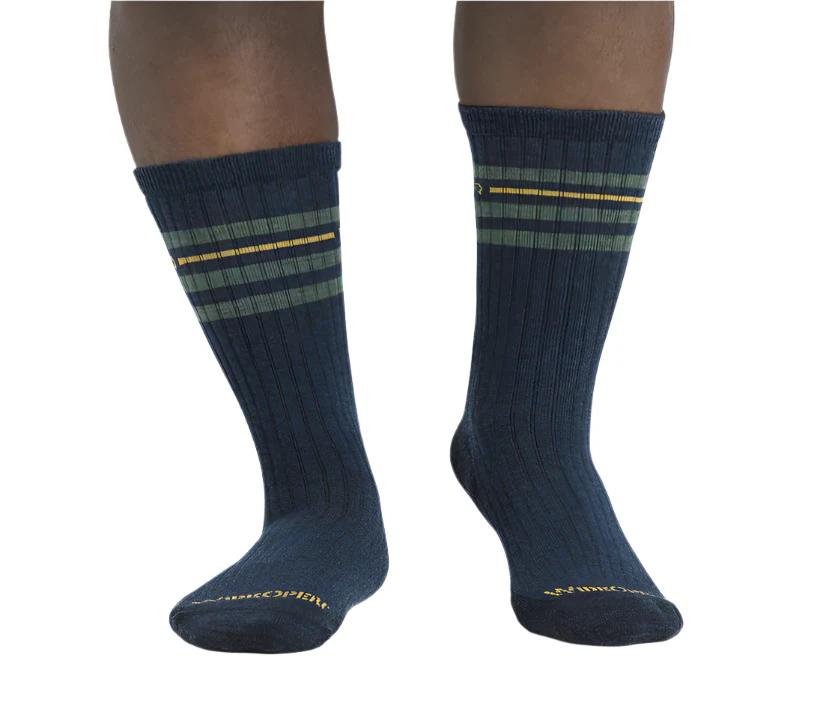 Men's Vintage Stripe Cushioned Crew Socks - Image 2