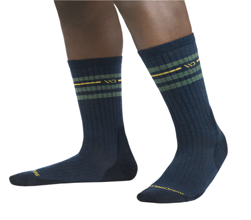 Men's Vintage Stripe Cushioned Crew Socks - Image 3