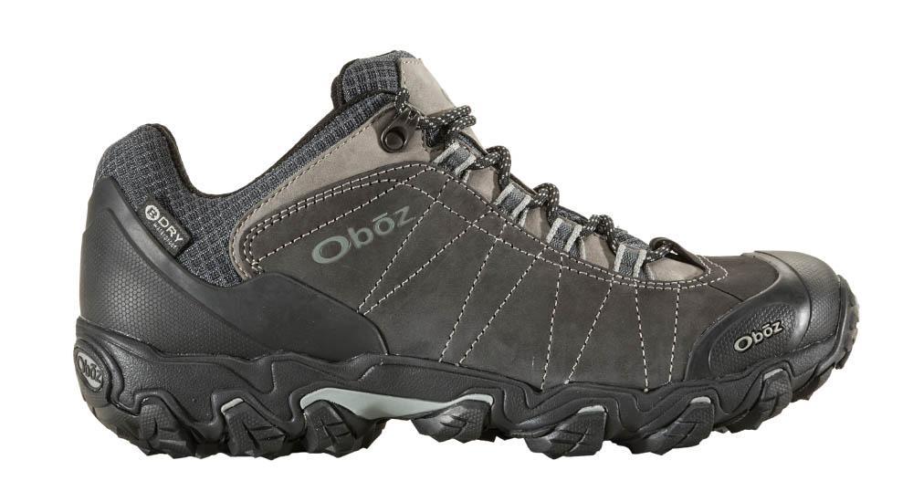 Men's Bridger Low BDry Hiking Shoe