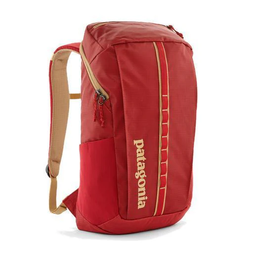 Patagonia Black Hole 25L Day Pack - Image 4