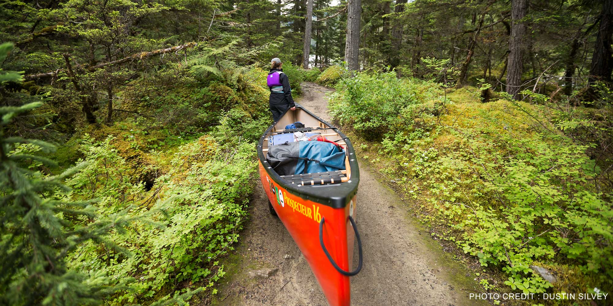 Esquif Prospecteur 16' T-Formex Canoe | Green - Image 3