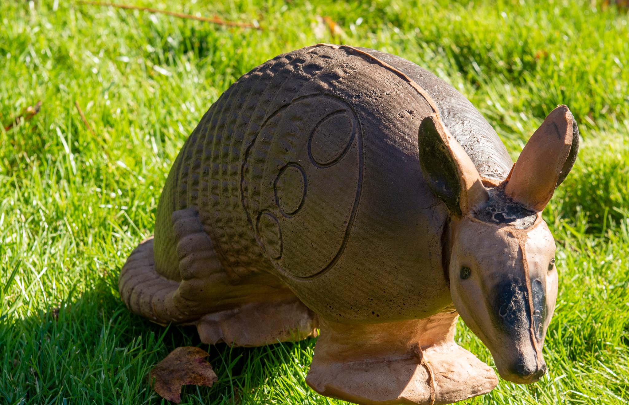 Real Wild Competition Armadillo Archery Target with EZ Pull Foam - Image 4