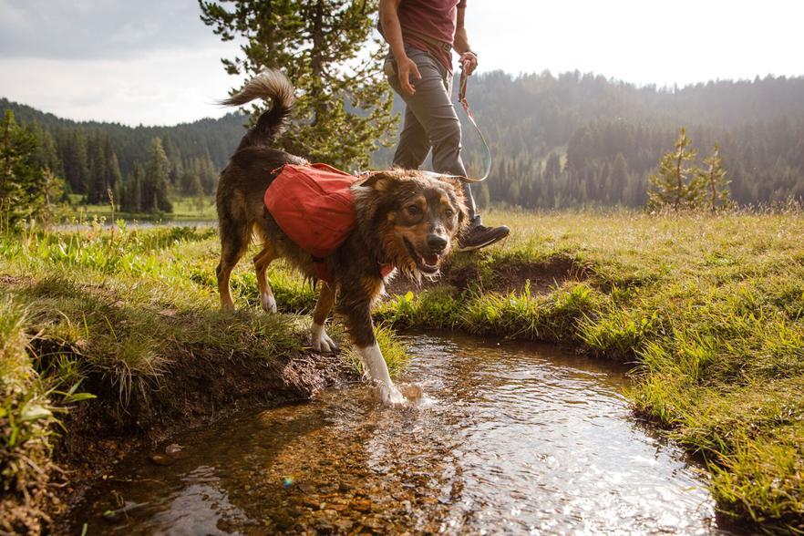 Ruffwear Front Range Day Pack - Image 2