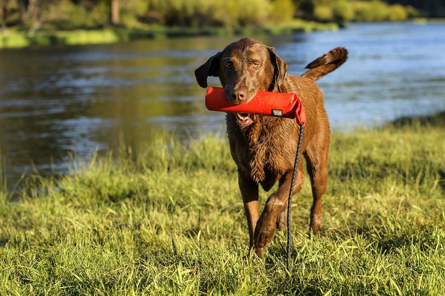 Ruffwear LUNKER FLOATING THROW TOY - Image 2