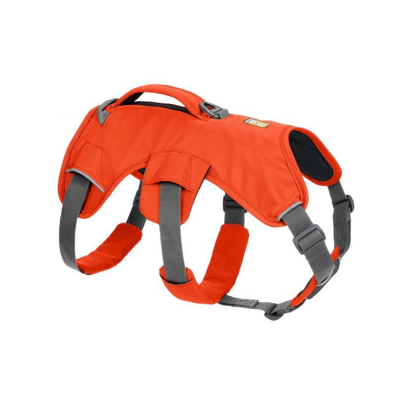 Ruffwear Web Master Dog Harness - Image 2