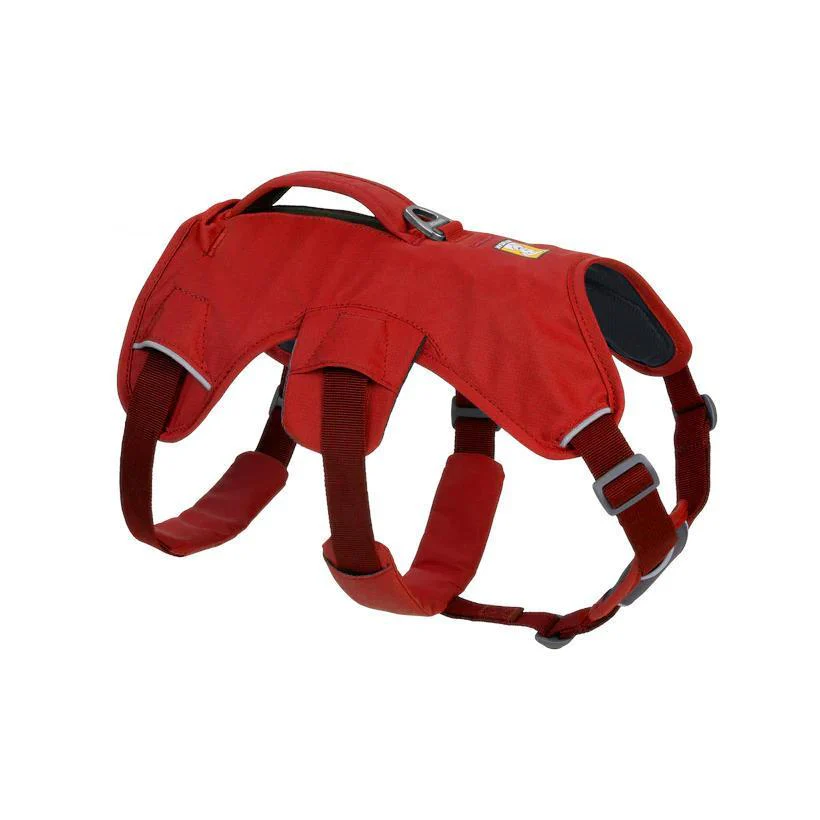 Ruffwear Web Master Dog Harness - Image 3