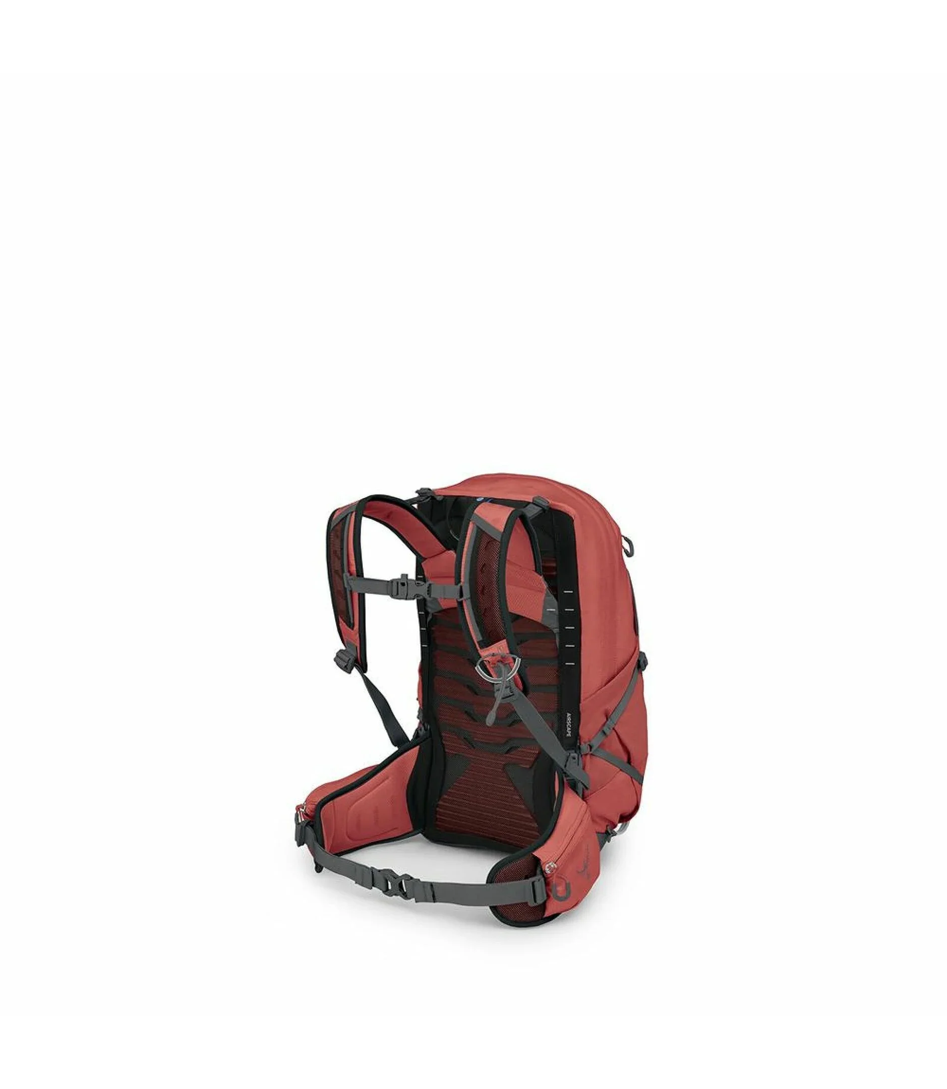 Tempest™ 22 Women's Day Pack | Red Pampas/Coal Grey - Image 2