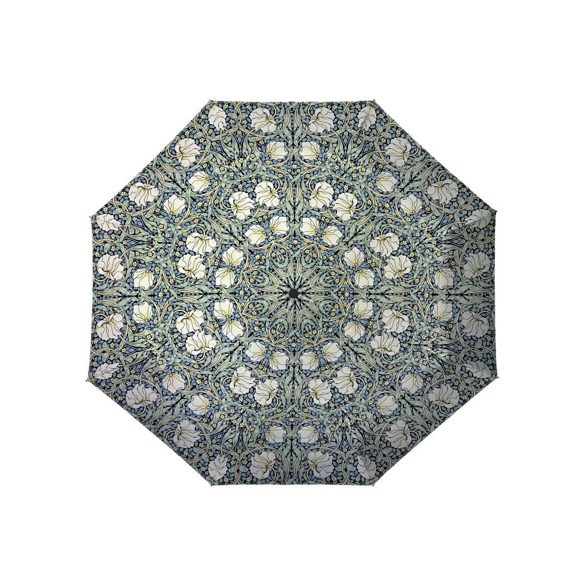 Travel Umbrellas | Wm Morris Pimpernel - Image 2