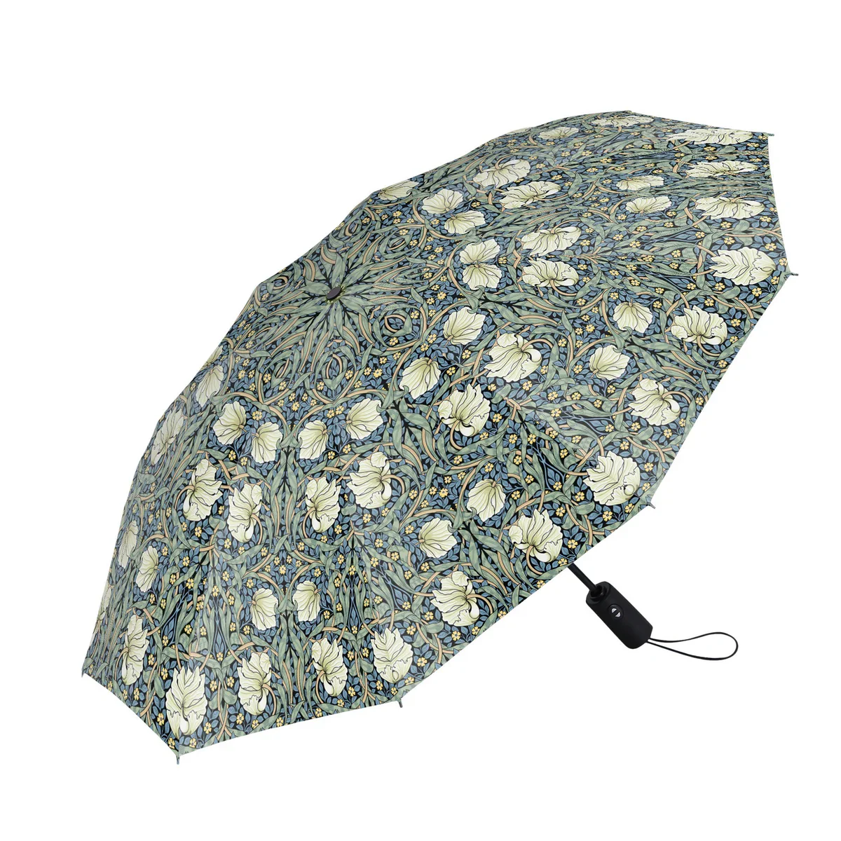 Travel Umbrellas | Wm Morris Pimpernel - Image 4