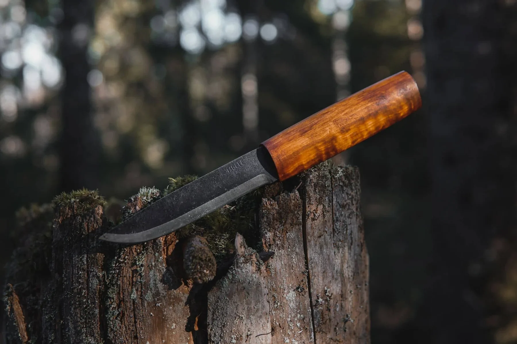 Helle Viking - Image 2