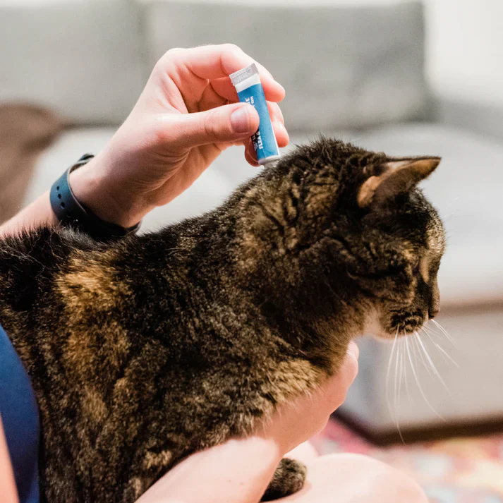 Flea & Tick Spot On treatment For Cats | Peppermint - Image 2