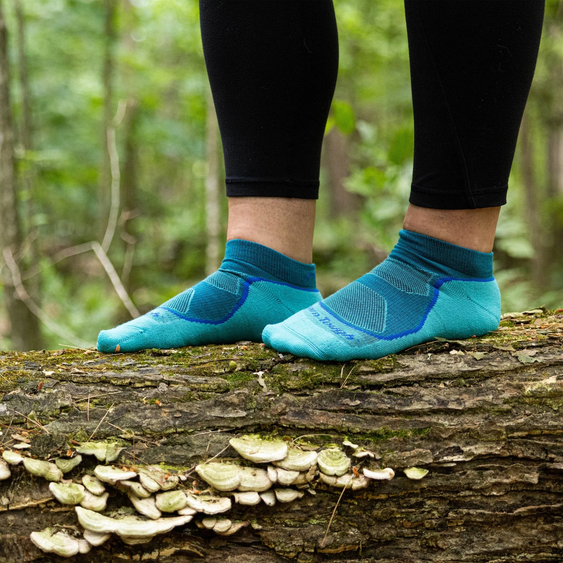 Women's Light Hiker No Show Lightweight Hiking Sock - Image 6