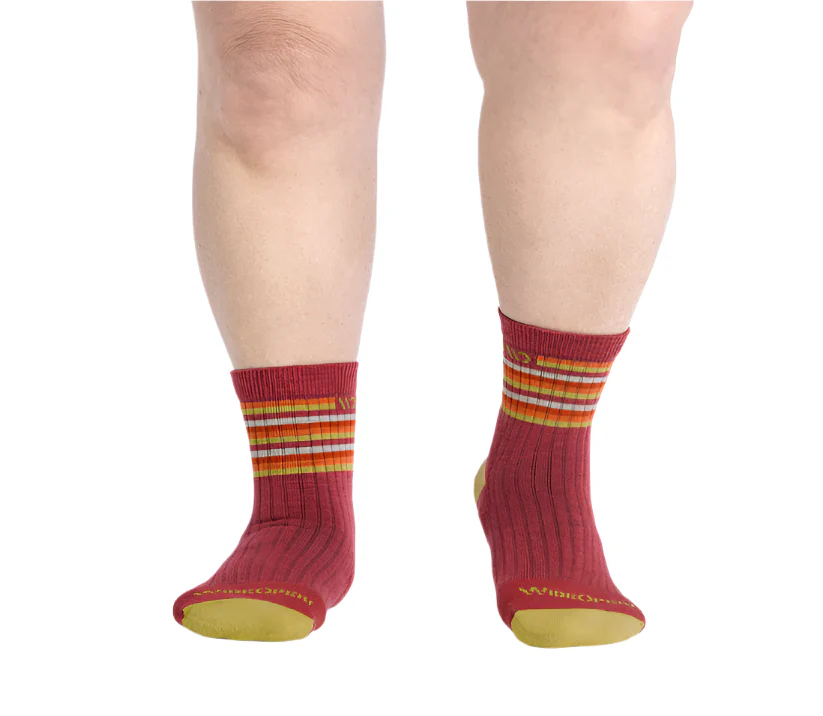 Women's Multi Stripe Cushioned Micro Crew Socks - Image 5