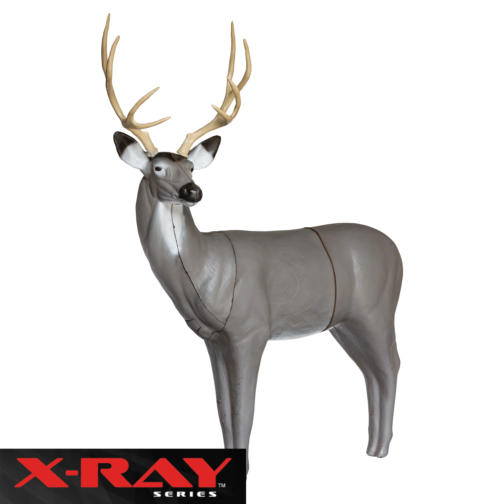 BIGshot Archery X-Ray Series Mule Deer - Image 2