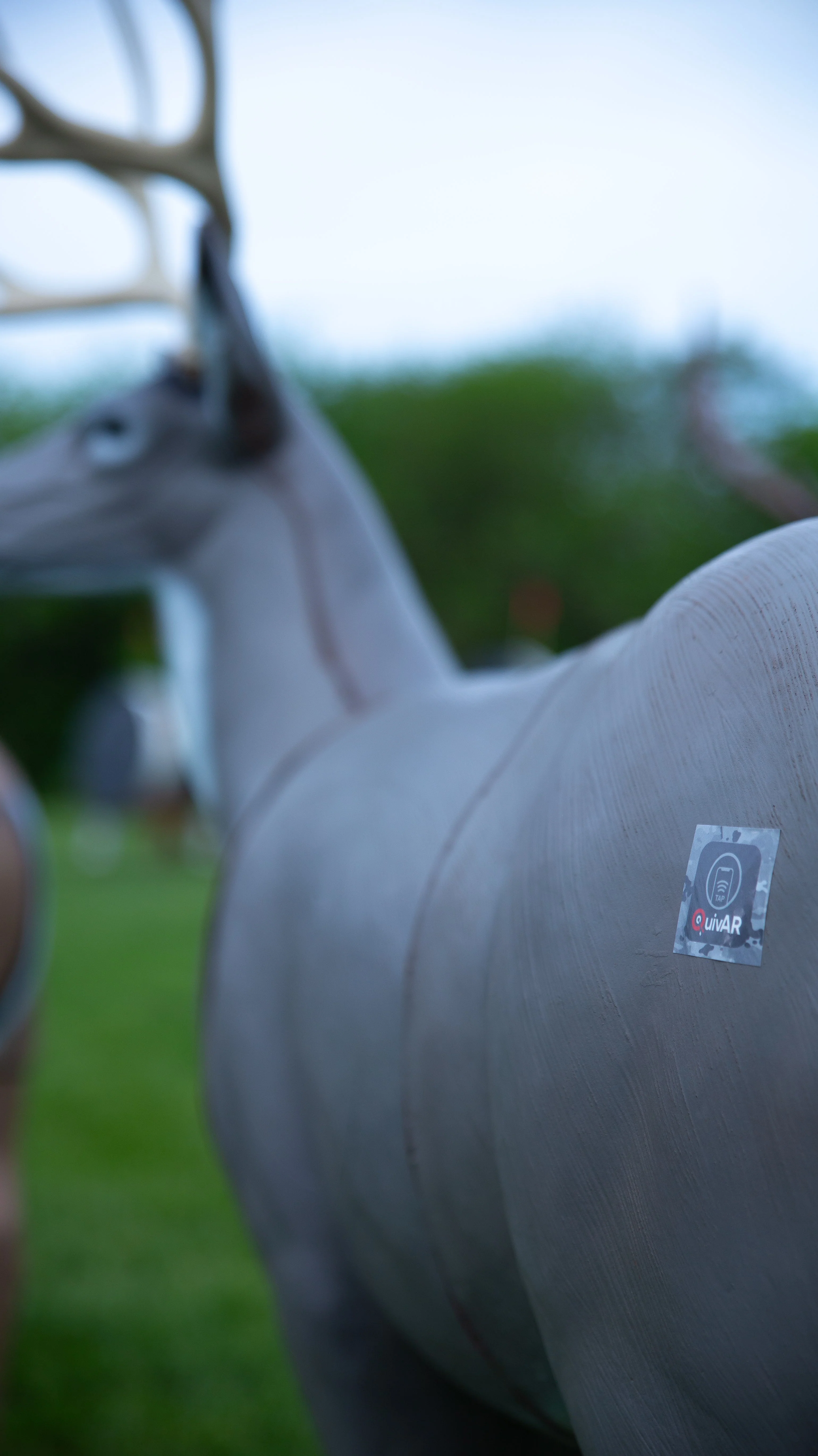 BIGshot Archery X-Ray Series Mule Deer - Image 3